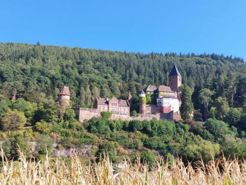 Main-Rhein-Neckar-20-tm-27-8-2022-80