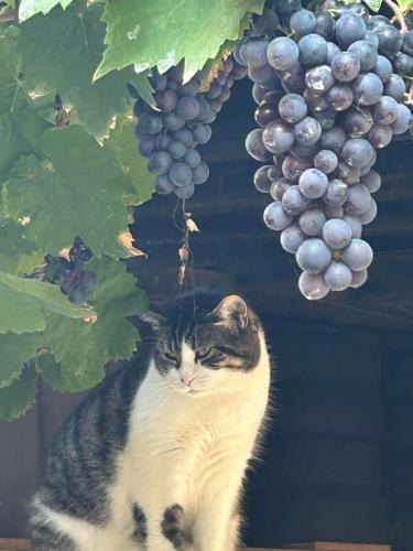 mosel 10-17 sept 2023