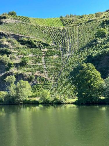 mosel 10-17 sept 2023