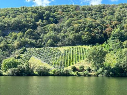 mosel 10-17 sept 2023