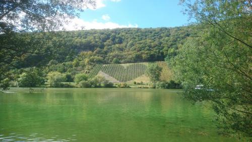 Mosel 14-21 sept 2019
