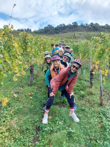 Mosel 15-22 okt 2023