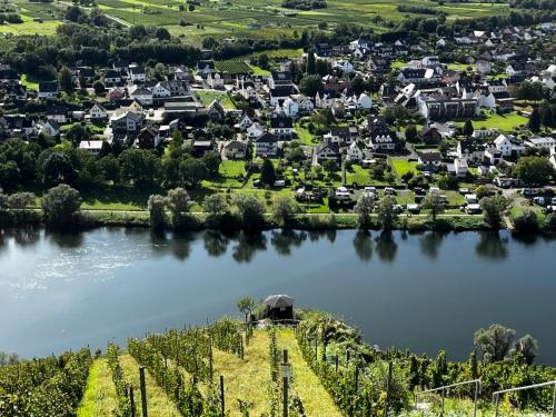 Mosel-17-24-sept-2023-7