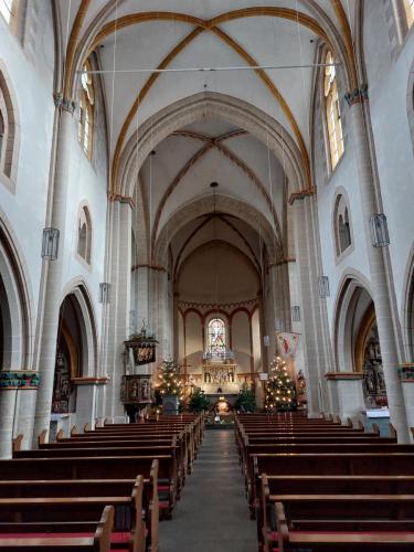 Mosel-23-27-dec-22-113