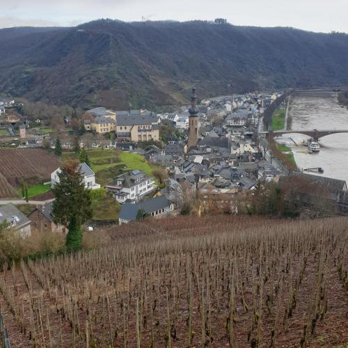 Mosel-23-27-dec-22-142