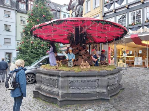 Mosel-23-27-dec-22-38