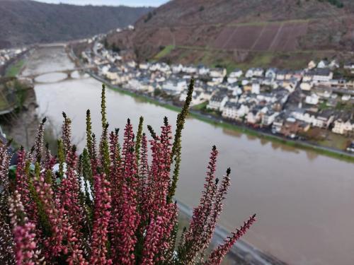 Mosel-23-27-dec-22-50