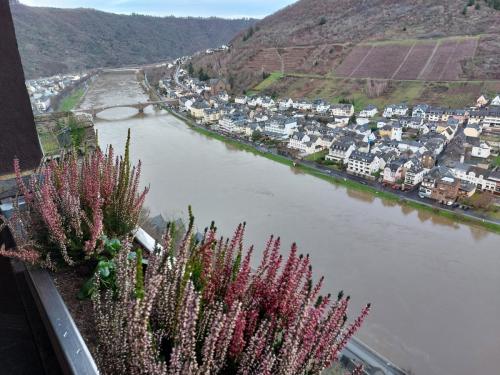 Mosel-23-27-dec-22-51