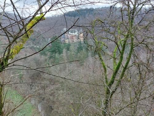 Mosel-23-27-dec-22-73