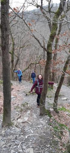 Mosel-28-december-22-1-january-23-106