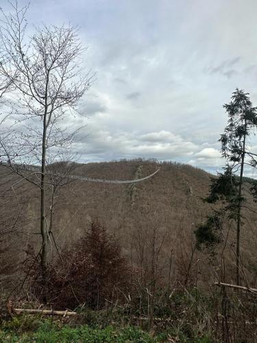 Mosel-28-december-22-1-january-23-126