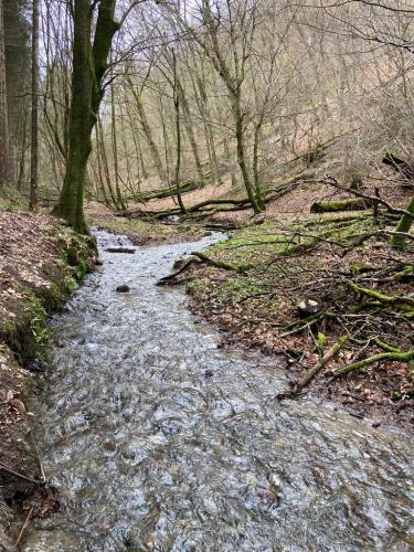 Mosel-28-december-22-1-january-23-140