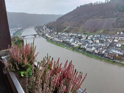 Mosel-28-december-22-1-january-23-180