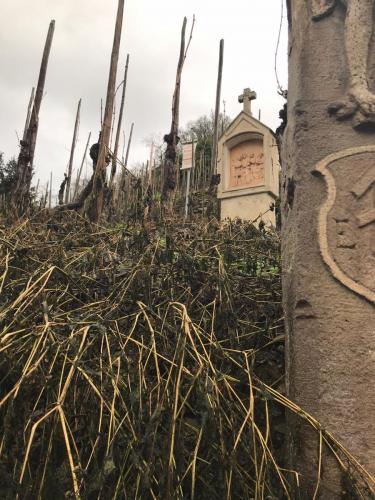 Mosel-28-december-22-1-january-23-38