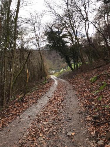 Mosel-28-december-22-1-january-23-46