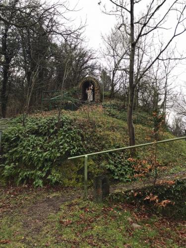 Mosel-28-december-22-1-january-23-49