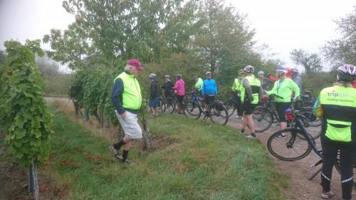 Mosel 7-14 sept 2019