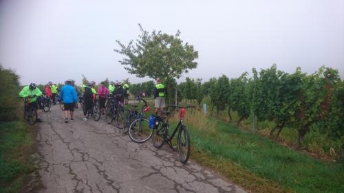 Mosel 7-14 sept 2019