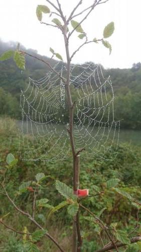 Mosel 7-14 sept 2019