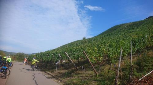 Mosel 7-14 sept 2019