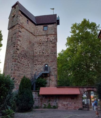 Neckar-Rhein-27-aug-tm-3-sep-2022-29