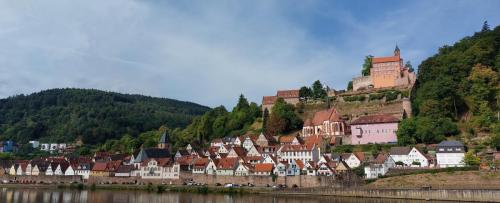 Neckar-Rhein-27-aug-tm-3-sep-2022-37