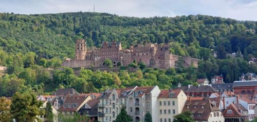 Neckar-Rhein-27-aug-tm-3-sep-2022-42