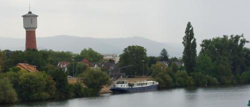 Neckar-Rhein-27-aug-tm-3-sep-2022-52