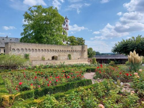Neckar-Rhein-27-aug-tm-3-sep-2022-71