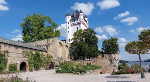 Neckar-Rhein-27-aug-tm-3-sep-2022-73