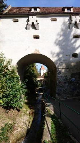 DSC 0662