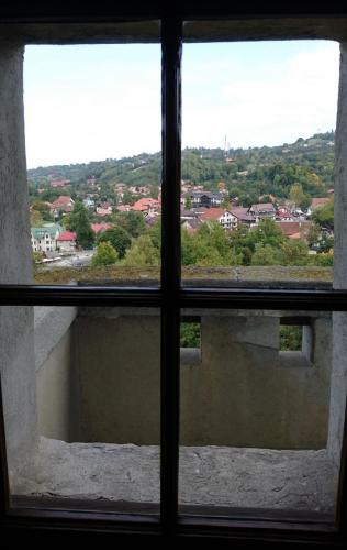 DSC 0677