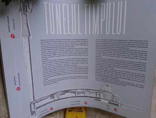 DSC 0707