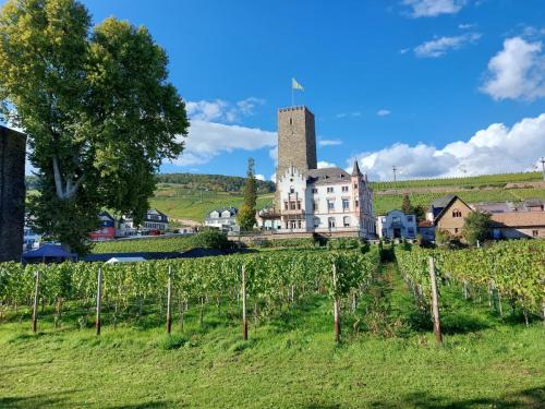 Rudesheim-6-9-okt-2022-37