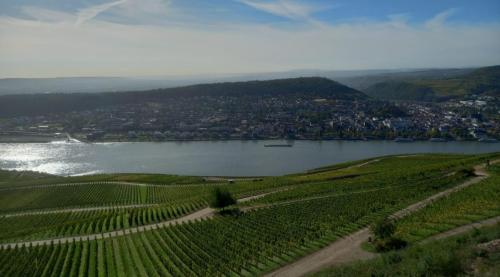 Rudesheim-6-9-okt-2022-43