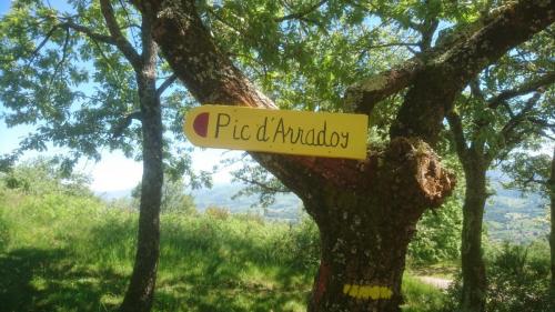 Santiago de Compostela 2019 (89)