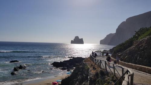 Sardegna juni-2017 (111) (1)
