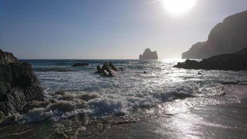 Sardegna juni-2017 (118) (1)