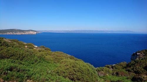 Sardegna juni-2017 (160) (1)