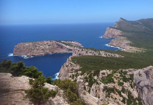 Sardegna juni-2017 (169) (1)