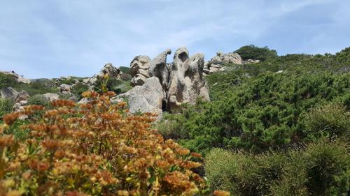 Sardegna juni-2017 (34) (1)