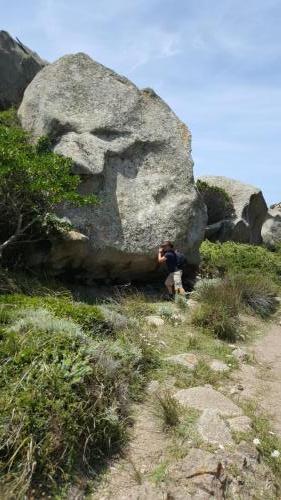 Sardegna juni-2017 (35) (1)