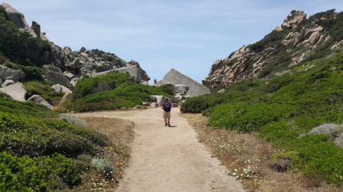 Sardegna juni-2017 (36) (1)