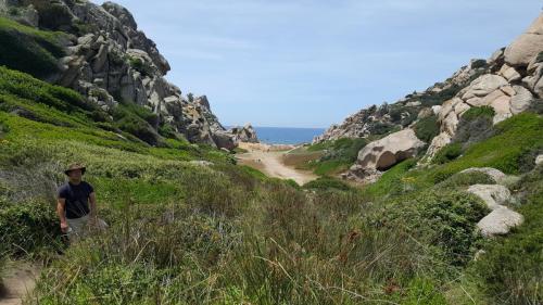 Sardegna juni-2017 (37) (1)