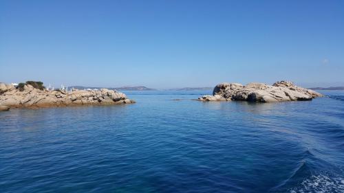 Sardegna juni-2017 (46) (1)