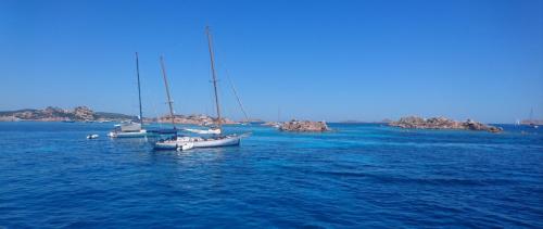 Sardegna juni-2017 (53) (1)