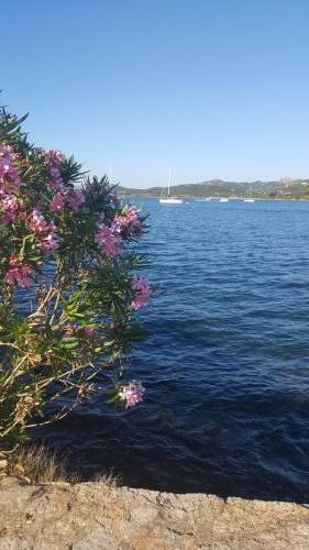 Sardegna juni-2017 (54) (1)