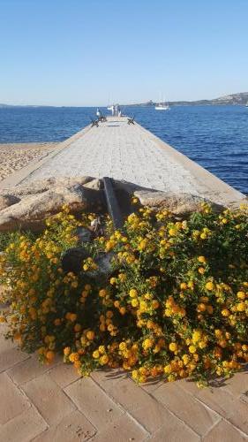Sardegna juni-2017 (55) (1)