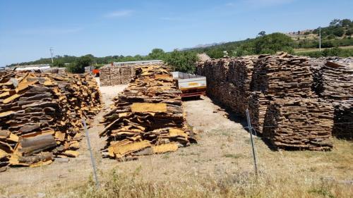 Sardegna juni-2017 (60) (1)