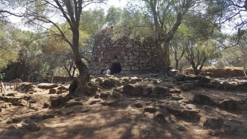 Sardegna juni-2017 (82) (1)